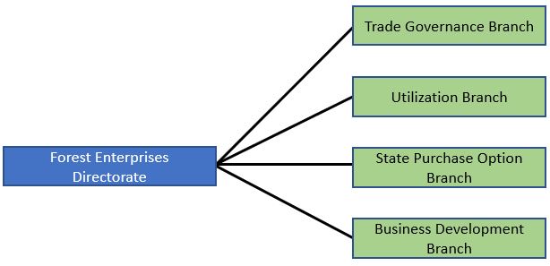 Forest Enterprise Directorate Structure