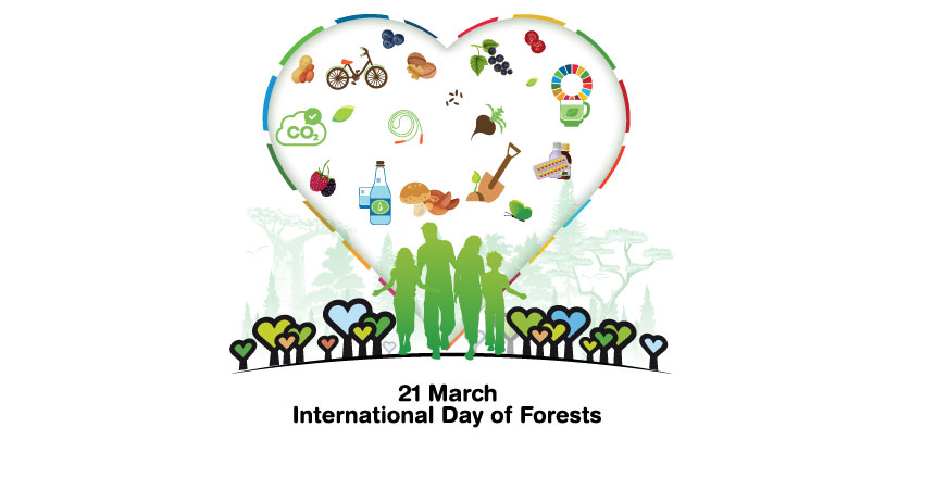 international_day_of_forests_theme_2023